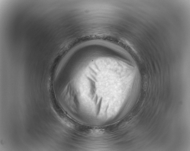 X0000070160451200606162034