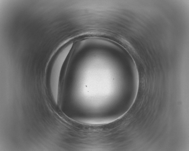 X0000070160484200606162034