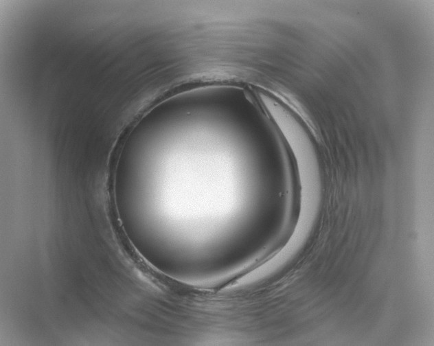 X0000070160485200606162034
