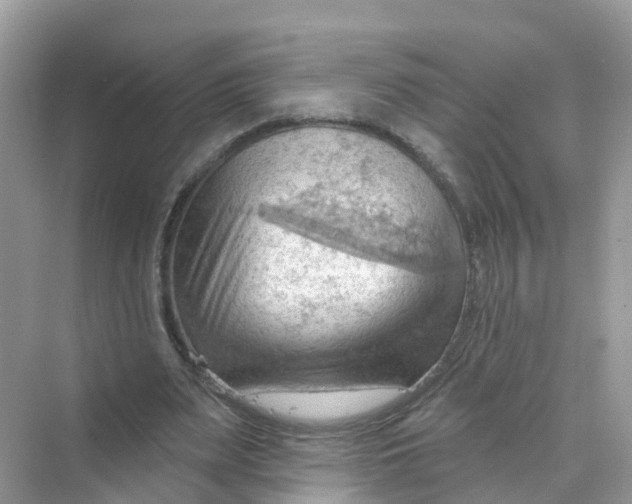 X0000070160487200606162034