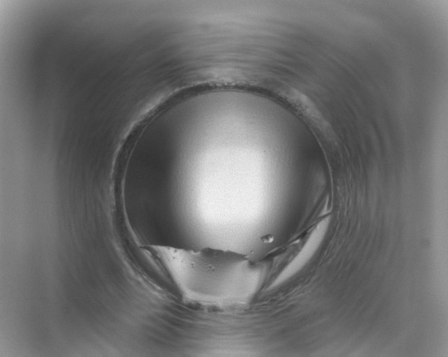 X0000070160488200606162034