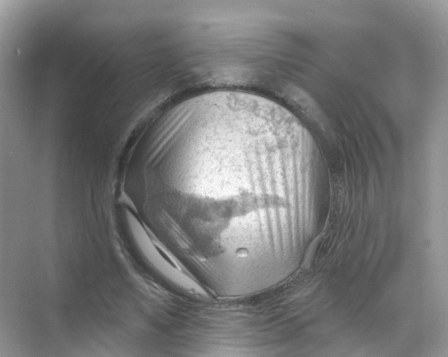 X0000070160491200606162034