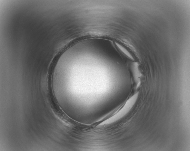 X0000070160492200606162034