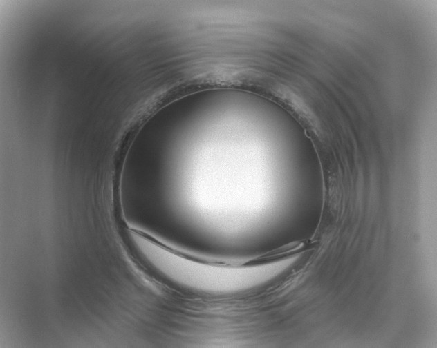X0000070160493200606162034