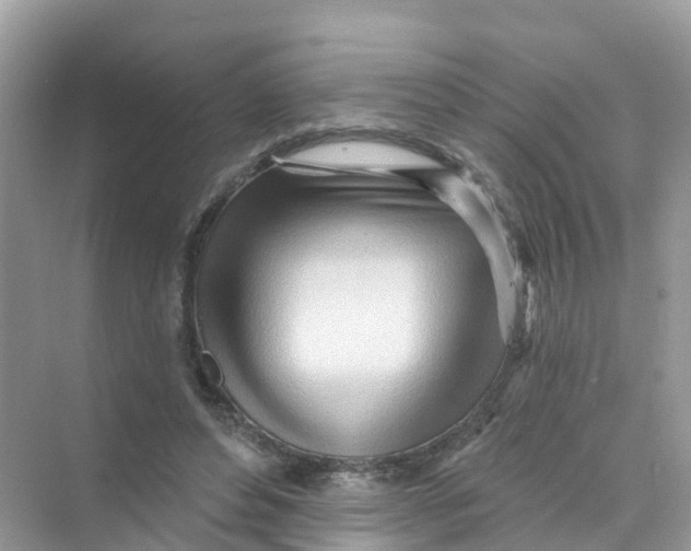 X0000070160496200606162034