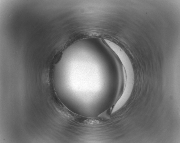 X0000070160512200606162033