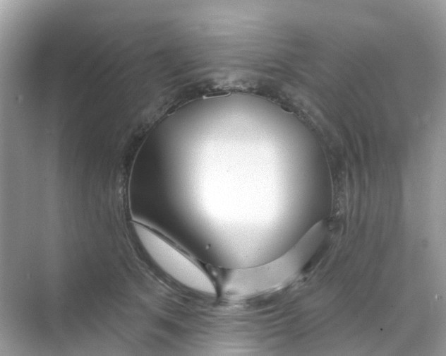 X0000070160513200606162033