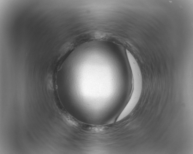 X0000070160524200606162033