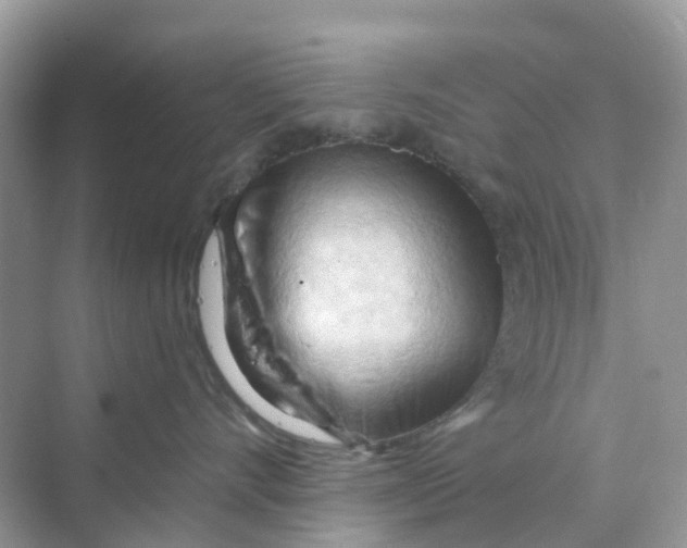 X0000070160528200606162033