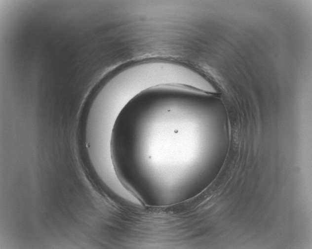 X0000070160540200606162032