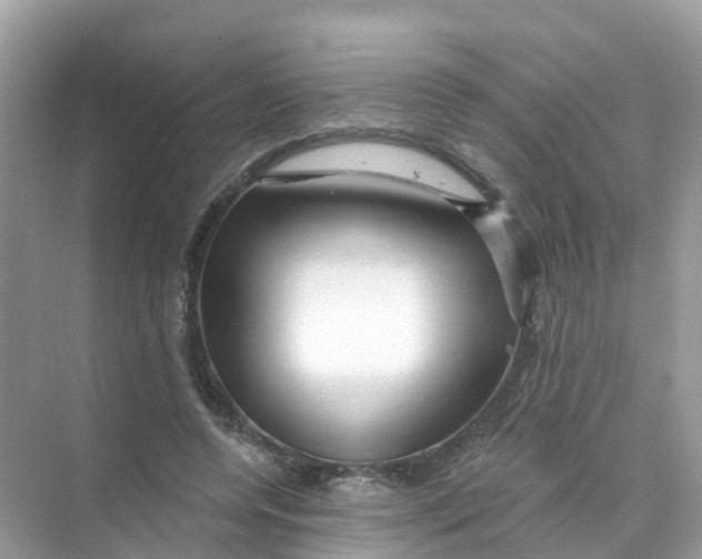 X0000070160544200606162032
