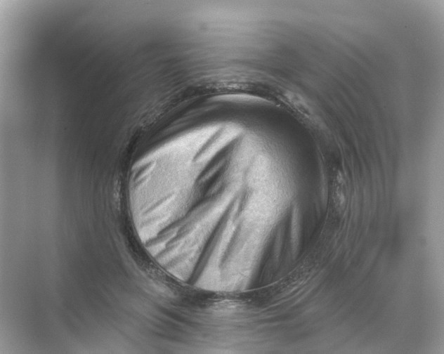 X0000070160551200606162033