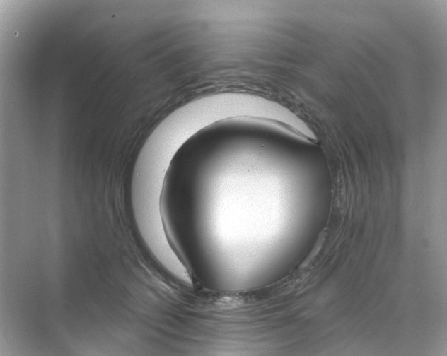 X0000070160562200606162033