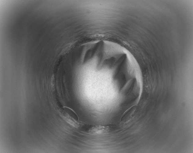 X0000070160563200606162033