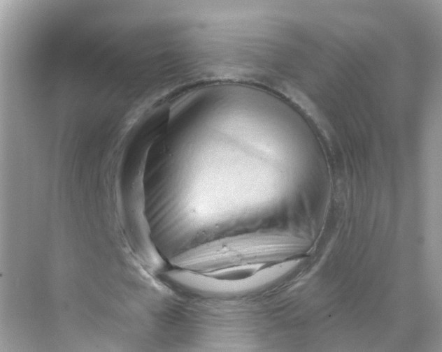 X0000070160577200606162032