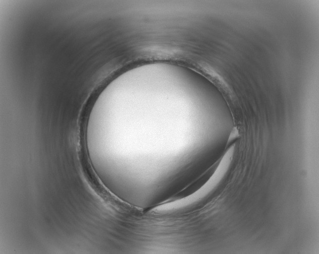 X0000070160582200606162032