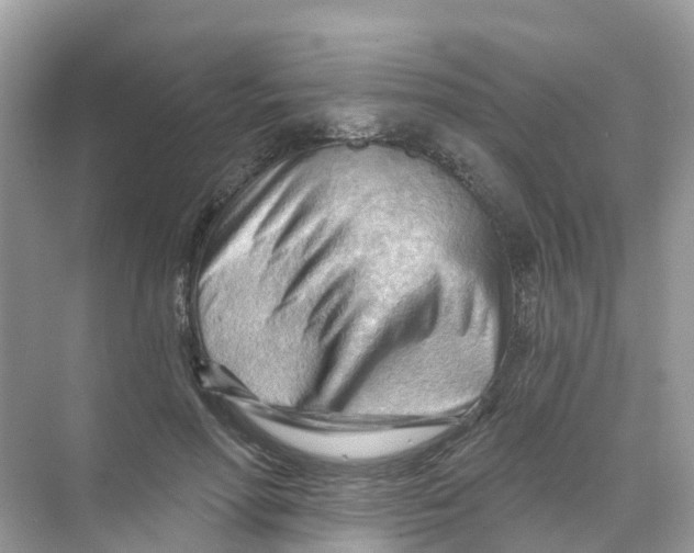 X0000070160598200606162032