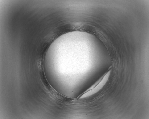 X0000070160602200606162032