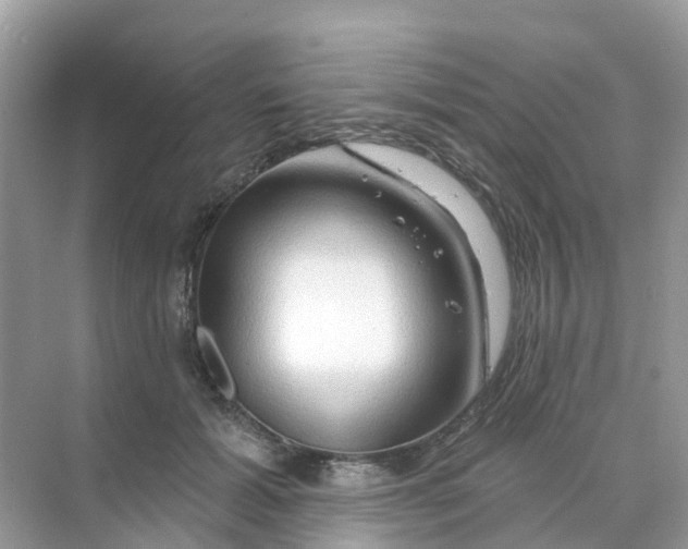 X0000070160605200606162032