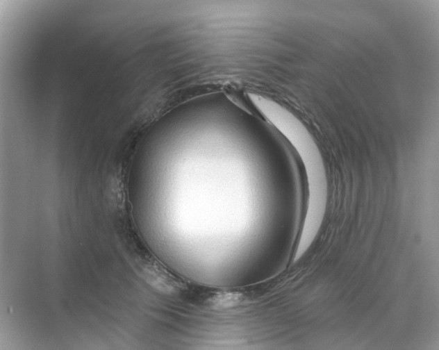 X0000070160609200606162032