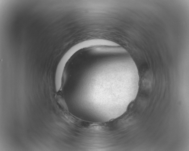 X0000070160620200606162031