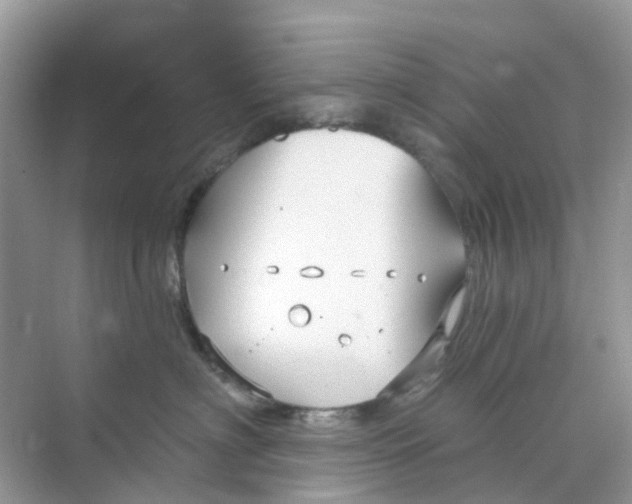 X0000070160622200606162031
