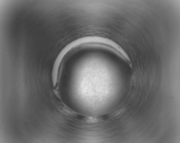 X0000070160623200606162031