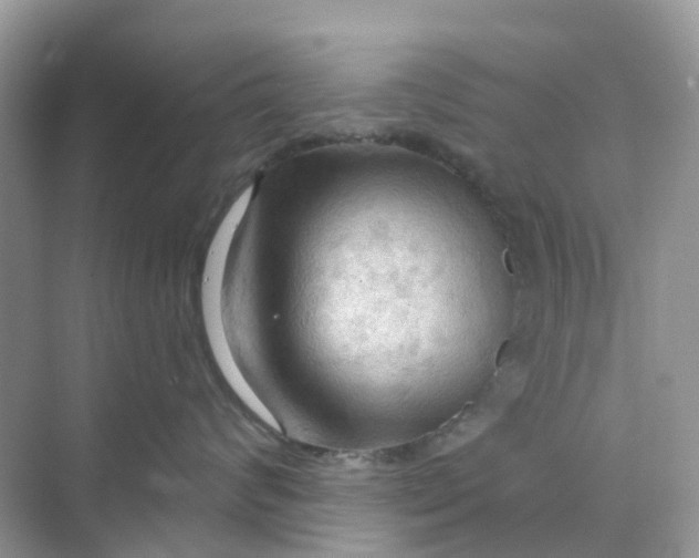 X0000070160624200606162031