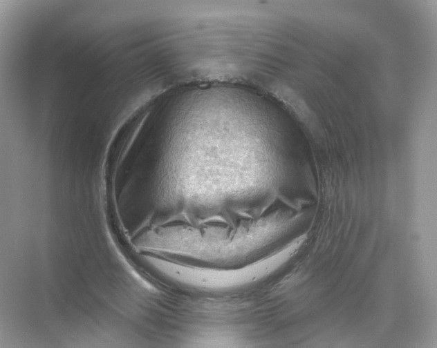 X0000070160630200606162031