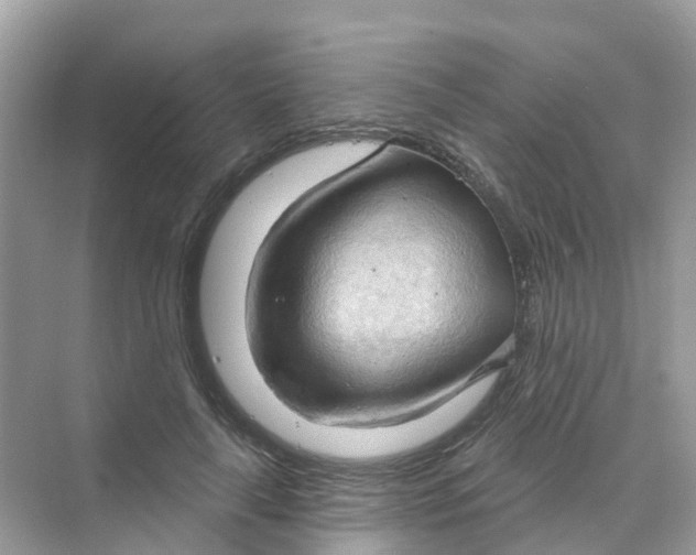 X0000070160643200606162031