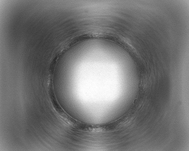 X0000070160645200606162031