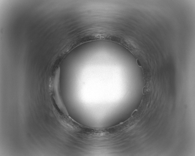 X0000070160646200606162031