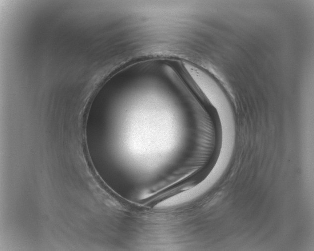 X0000070160673200606162031