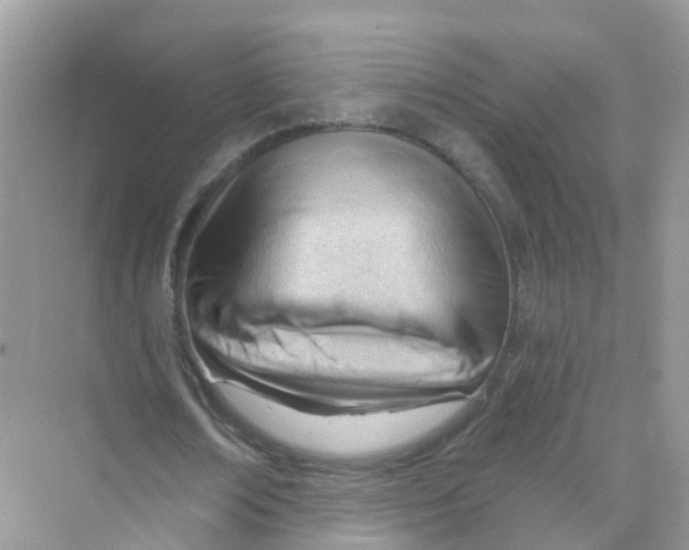 X0000070160674200606162031