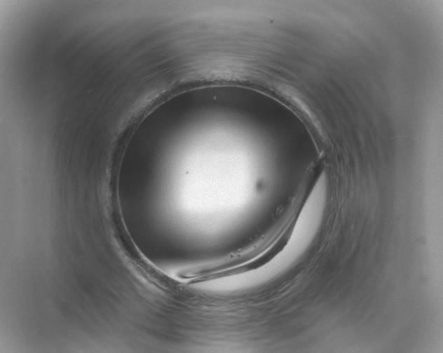 X0000070160677200606162031