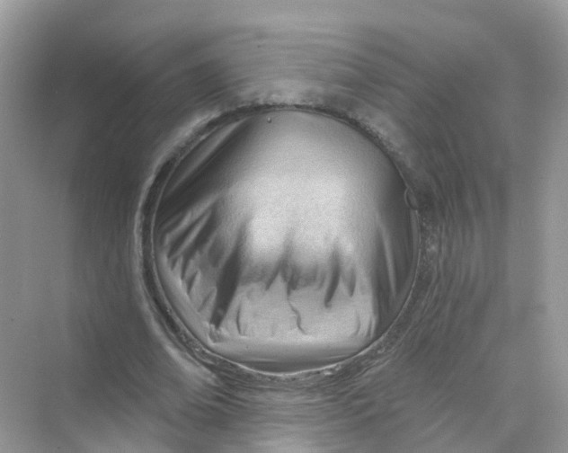 X0000070160678200606162031
