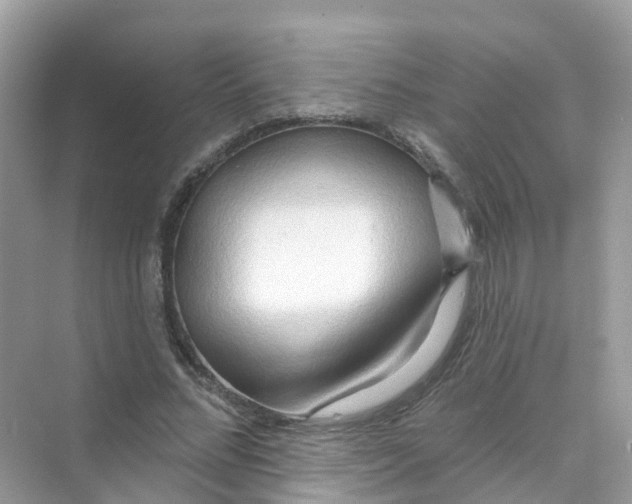 X0000070160684200606162030