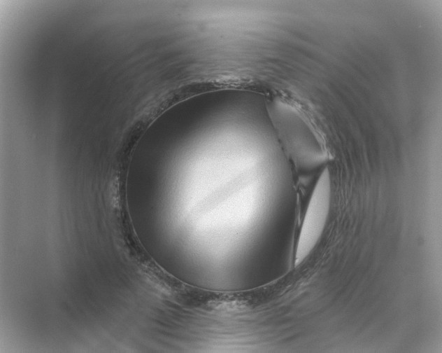 X0000070160689200606162030