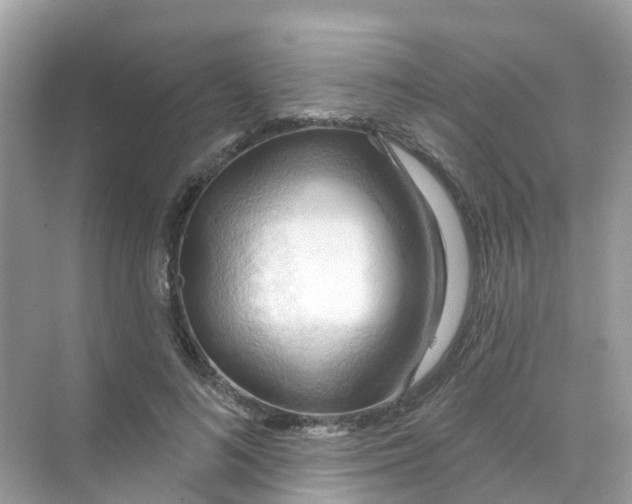 X0000070160692200606162030