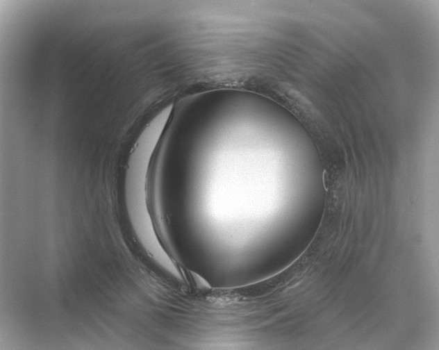 X0000070160693200606162030