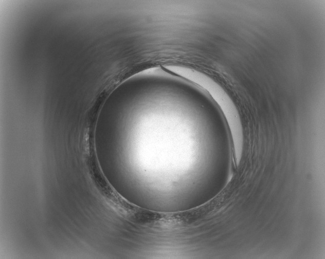 X0000070160696200606162030
