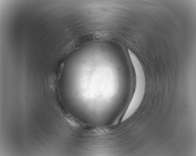 X0000070160712200606162030