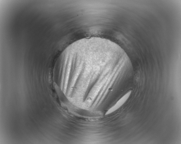 X0000070160715200606162030