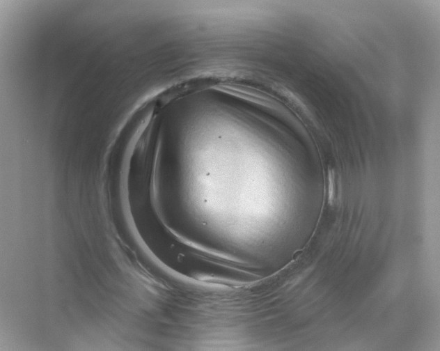 X0000070160723200606162029