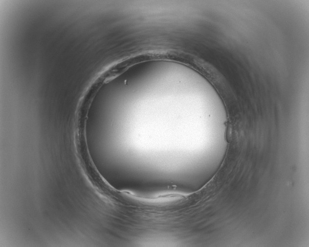 X0000070160728200606162029
