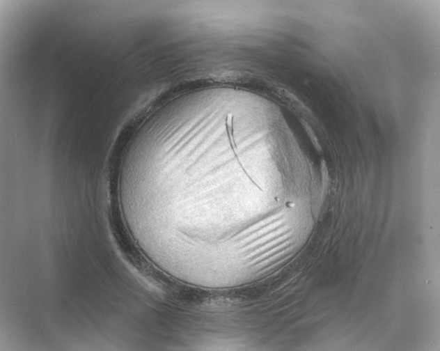 X0000070160734200606162029
