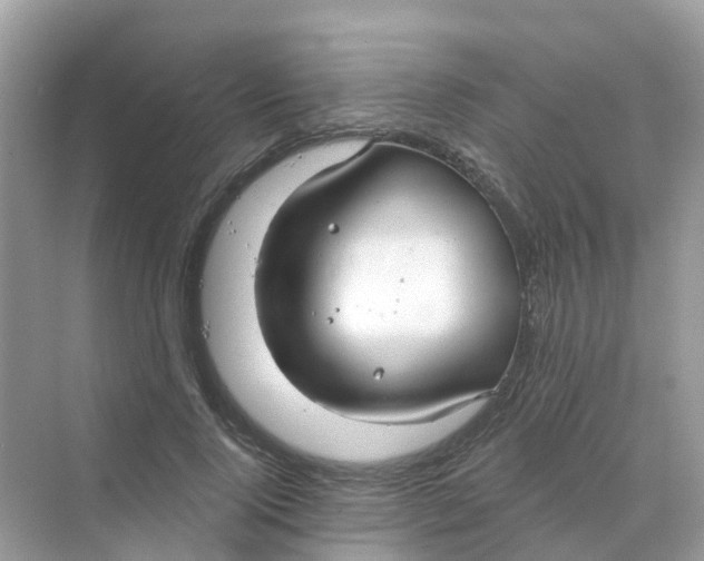X0000070160740200606162029