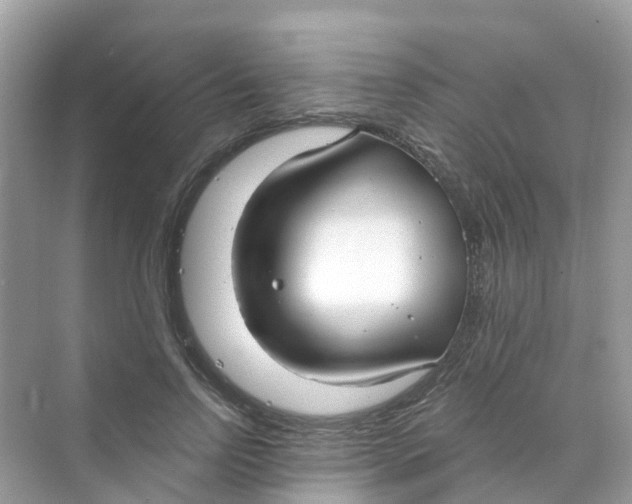 X0000070160742200606162029