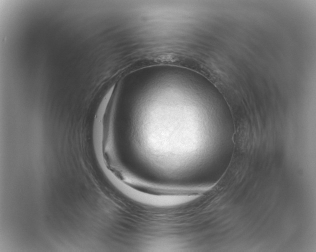 X0000070160747200606162029