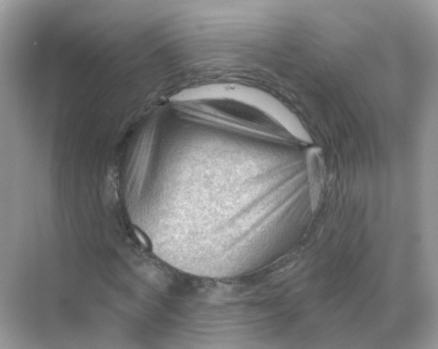 X0000070160772200606162029